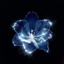 .gg/cerulean • boost us !!