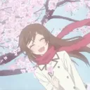 🇯🇵 cherry blossom🌸