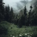 The Ballad Of The Last Kids | ... Discord Server Icon