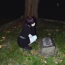 Just some bored people