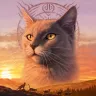 Wilde Pfoten - Warrior Cats RPG
