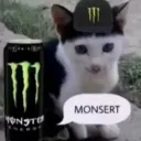MONSERT