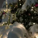 ೀ ࣪ ˖ ⭑ christmas in the west 🎄