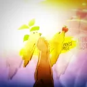 𝑴𝒂𝒅𝒏𝒆𝒔𝒔