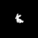 Bunny Haven  ₍ᐢ. .ᐢ₎