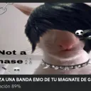 los perdidos en la oscuridad