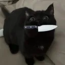 ᓚᘏᗢ