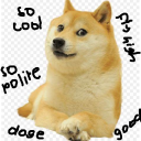 Doge
