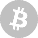 Bitcoin Silver Official
