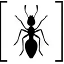🐜 Messor ⚔ Barbarus 🐜