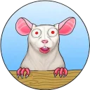 FOX - Matt Furie's Pet Rat 0x62 | CTO