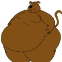 Lair of Lard Discord server icon