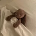 ๐๐จ๐ฅ๐๐๐ง ๐๐จ๐ฎ๐ซ