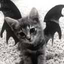 vampzz Discord server icon