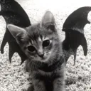 vampzz