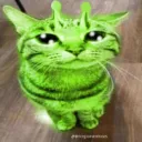 Nakatashy's domain