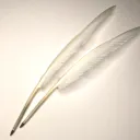 Quill