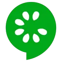 Cucumber