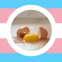 Cracked Egg Collective