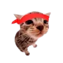 Billz's ugc