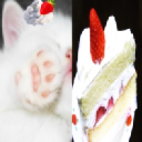 pawsize pet cafe 🐾🍓🍰 Discord server icon