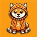 DOG OF BITCOIN