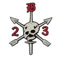 Bravo Co. 2/3 SFG (CTAC)