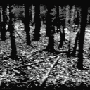 𓈒   ⌇    𝓣he 𝓖raveyard . . Discord server icon