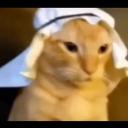https://cdn.discordapp.com/icons/1261345469368369212/037792f11452c653200ec451ec317ae1.jpg?size=128