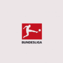 Bundesliga / Fußball