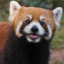 AUKAAAAAAAAT? Discord server icon