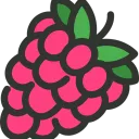 Raspberry EN/PL