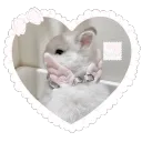 ꒰ ꒰   𝑏 𝑢 𝑟 𝑟 𝑜 𝑤 ೀ  ݁  𓈒