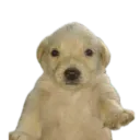 Server icon for 2026 is my year fr