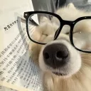 ˚｡꒰  ꒱ •°