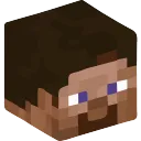 MineSkin