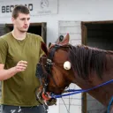 Pet Jokic's Horses