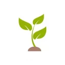 Sprout Fest