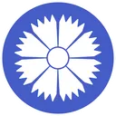 Belavia - Belarusian airlines ROBLOX