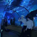 The Aquarium