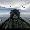 FORÇA AÉREA BRASILEIRA