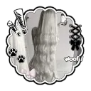 𐔌 ྀི ˇ  𝒹o𝓁𝒾᥉ །† ◞