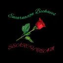 Encarnacion Bechaves Search team