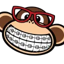 MONKEY DISCORD DESING™