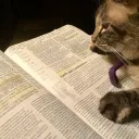 Comunidad Furry Cristiana "Toda Criatura"