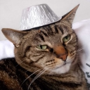 Milo pooookiessss (2.0)