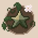 Stars Vale Discord Server Icon
