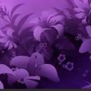 Leaks FR Back avatar