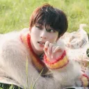 /wonies ₍^. .^₎⟆