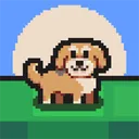 The Last Good Boy